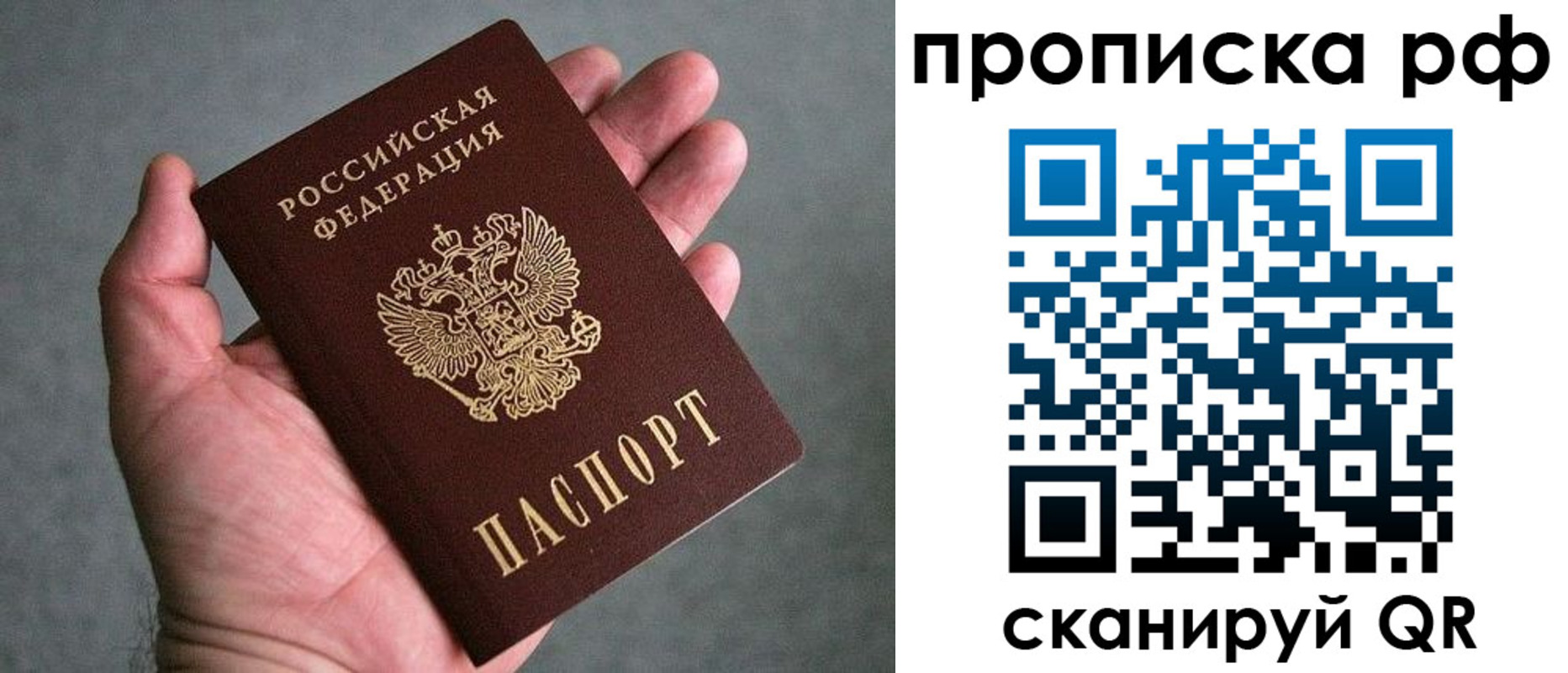 купить прописку в Королёве